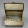 F531a Mother of pearl box, 19th century, engraved with flowers
