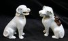 N782 Pair of 17th century blanc-de-chine dogs of foe; height: 10 cm