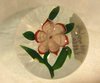 P27 Baccarat primrose paperweight, circa 1850