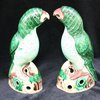 P569 Pair of famille verte parrots, Kangxi (1662-1722)