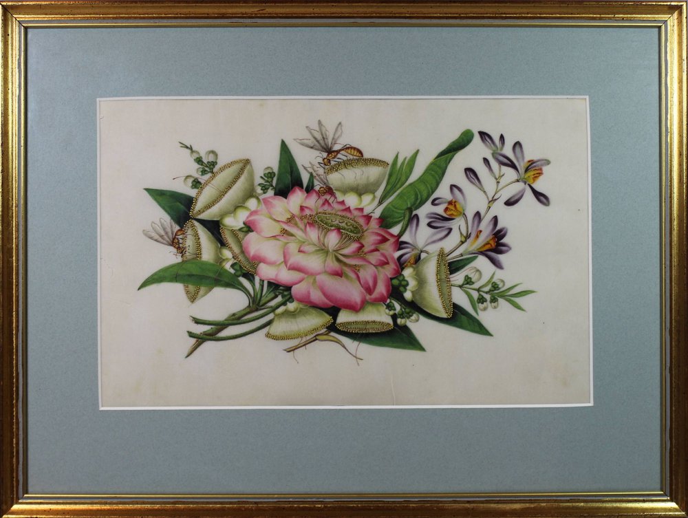 R599 Pith paper painting, from an album dated 1858