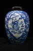 TL25 Blue and white ovoid ginger jar, Kangxi (1662-1722)