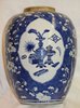 TL25 Blue and white ovoid ginger jar, Kangxi (1662-1722)