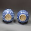 U310 Pair of miniature Chinese blue and white bottle vases