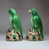 U342 Pair of famille verte biscuit parrots, Kangxi (1662-1722)