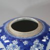 U701 Blue and white ginger jar, Kangxi (1662-1722)