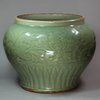 U73 Longquan celadon guan, Yuan/Early Ming, 15th century