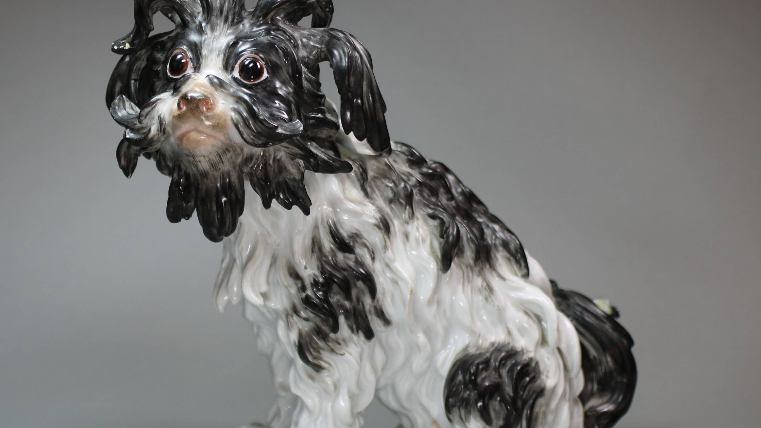 洋書 Meissen Porcelain Dogs 1875-1925 Kangxi