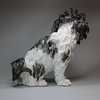 U82 German Meissen model of a Bolognese hound (Bologner Hund)