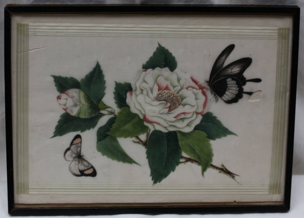 V13 Pith paper painting of two butterflies and camellia