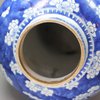 V952 Blue and white baluster jar, Kangxi (1662-1722)