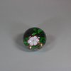 W37 Baccarat primrose paperweight, circa 1850