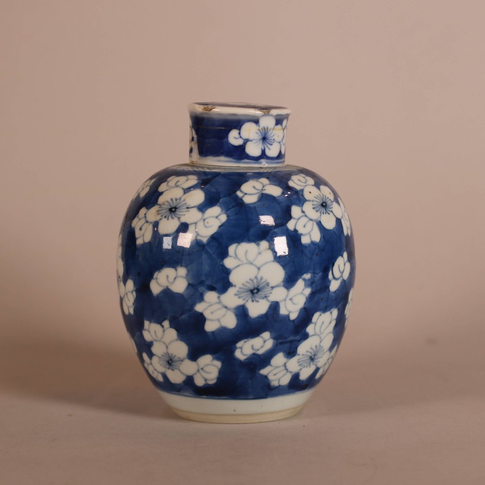 W784 Chinese blue and white ginger jar and cover