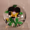 W820 Baccarat pansy paperweight, 19th century