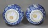 X701 Pair of Chinese blue and white bottle vases