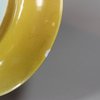 Y108 Yellow-glazed saucer dish