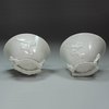 Y582 Pair of Chinese blanc de chine libation cups