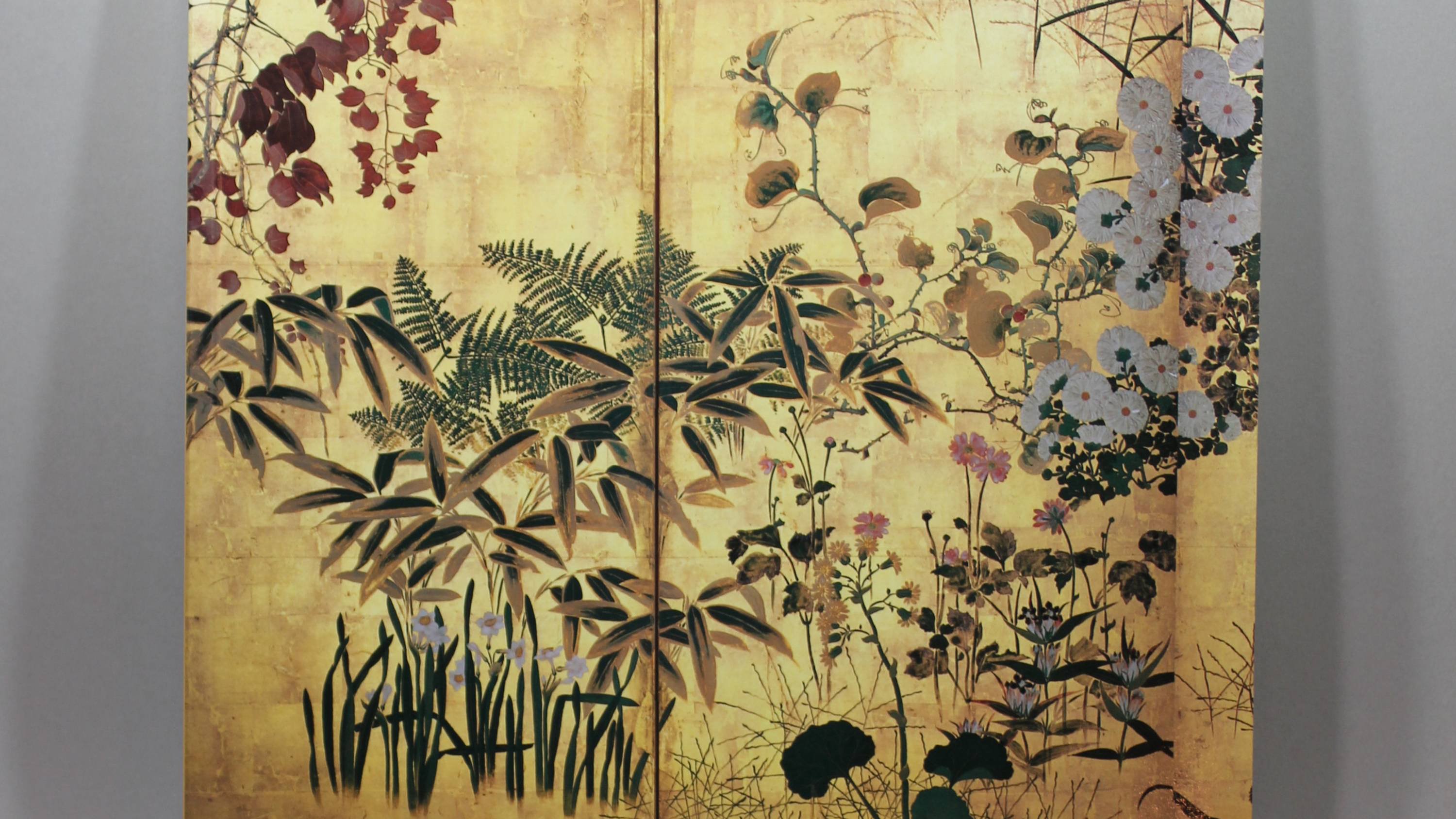Y790.2e16d0ba.fill-16000x9000.jpg